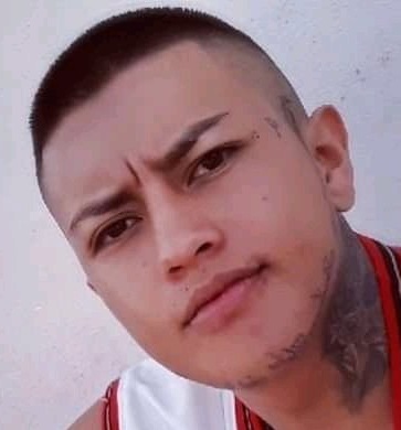 FIRMA LEGAL 12332
